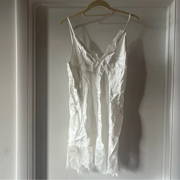 Shona Joy Lustre Lace Slip Mini Dress - Ivory - Picture 7 of 8